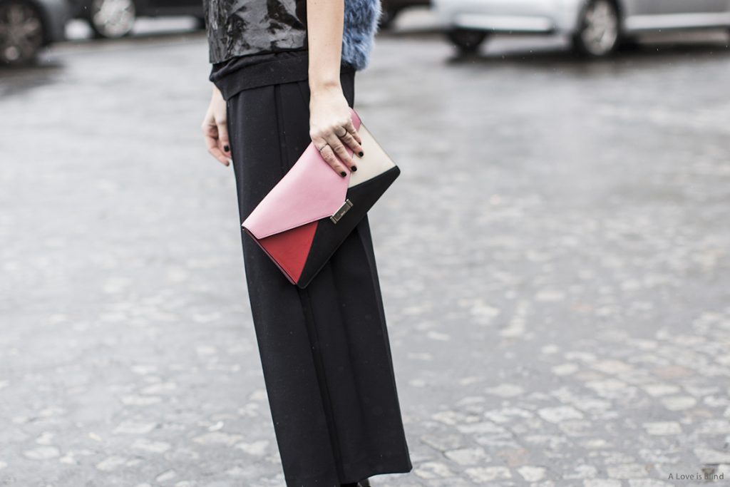 céline clutch